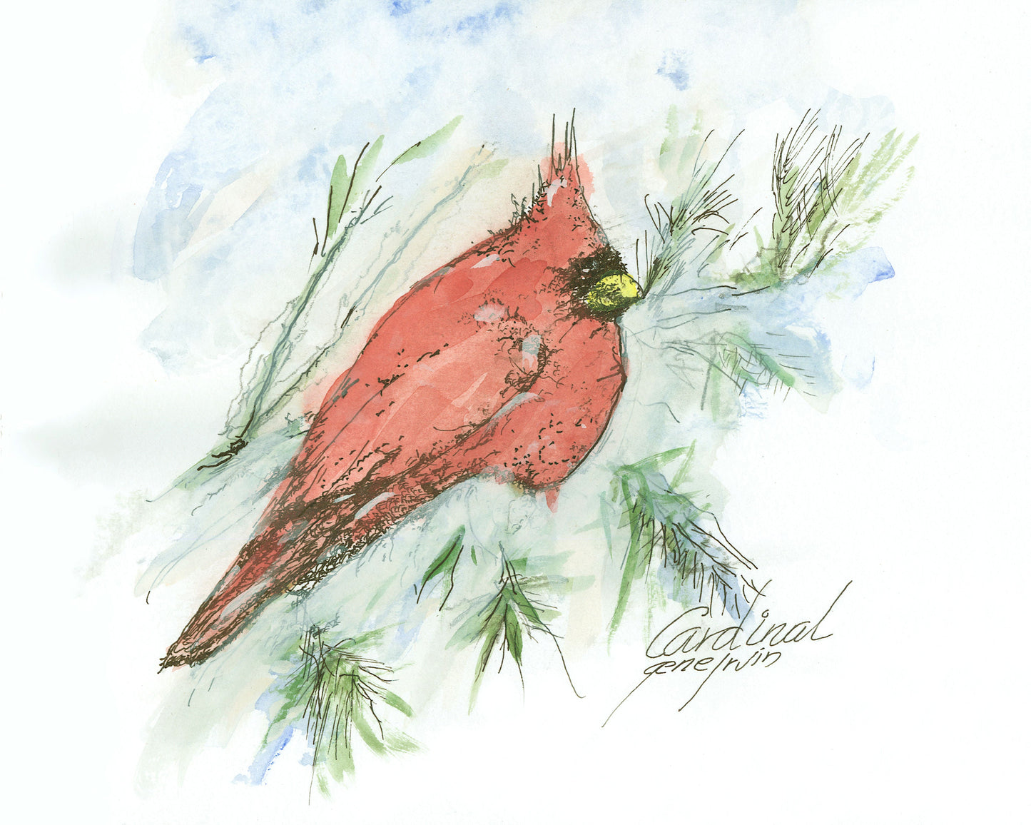 Northern Cardinal watercolor and pen & ink illustration by Gene Irvin — a bright red male cardinal with black facial mask and orange beak perched on pine branches amid loose green needles and a wintry blue-and-white wash, signed "Cardinal, Gene Irvin"