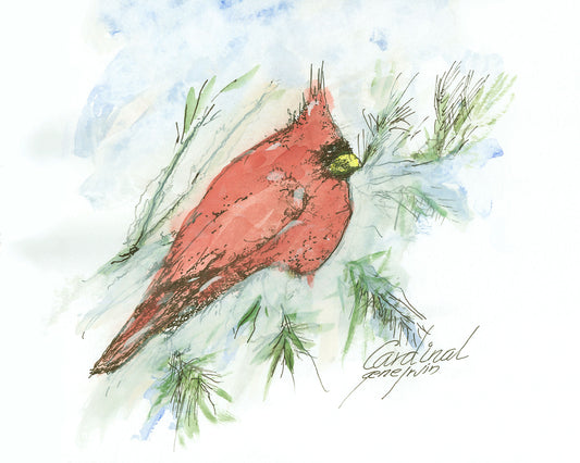Northern Cardinal watercolor and pen & ink illustration by Gene Irvin — a bright red male cardinal with black facial mask and orange beak perched on pine branches amid loose green needles and a wintry blue-and-white wash, signed "Cardinal, Gene Irvin"