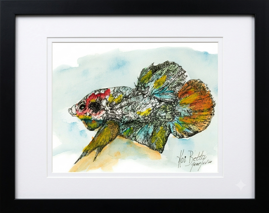 Koi Betta original pen, ink, and watercolor illustration by Gene Irvin — intricate ink crosshatching over marbled watercolor washes of red, teal, yellow, and orange on a white and silver Koi Betta fish body with flowing fins, soft blue watercolor background, white mat, flat black wood frame, 8x10 inch artwork, 15.5x12.375 inches overall, ready to hang