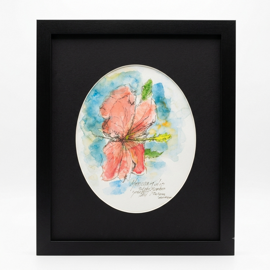 Mexican Tulip Poppy original watercolor and ink illustration by Gene Irvin, 2021 — loose gestural portrait of a large soft pink Mexican Tulip Poppy bloom with delicate ink line work and yellow-green stamens against a loose blue and teal watercolor wash, oval cream mat on black background, dark wood frame, 8x10 inch artwork, 12.375x15.5 inches overall, ready to hang