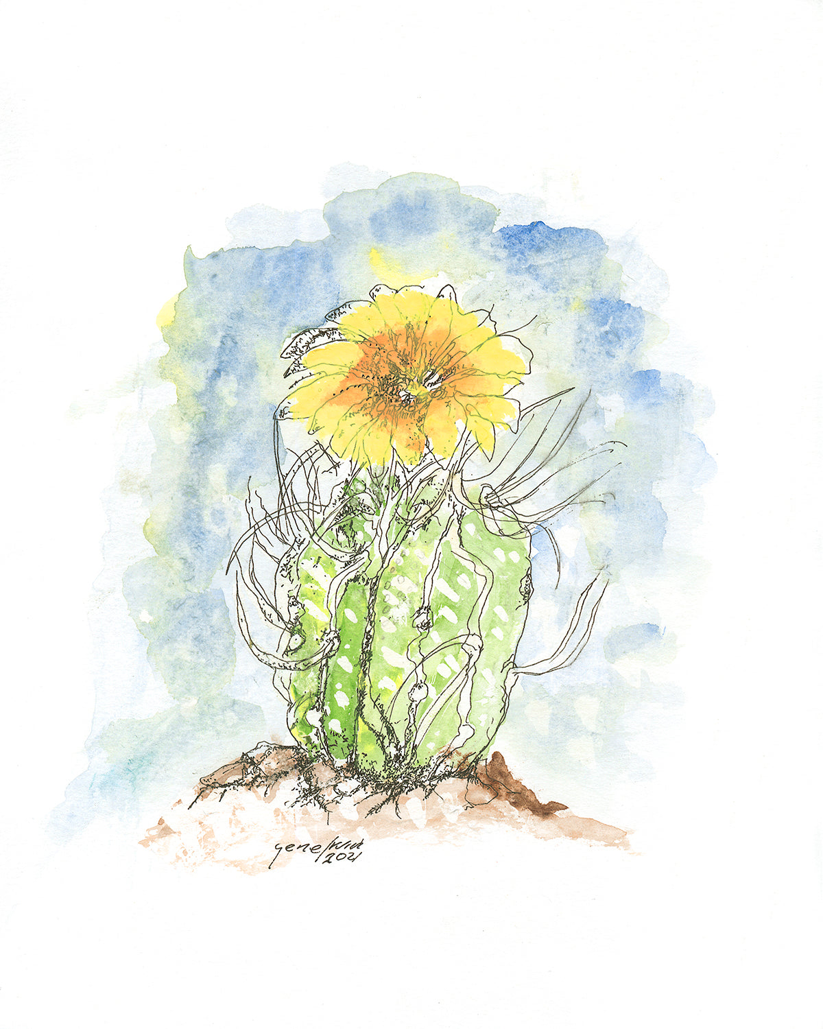 Original Yellow Cactus Flower watercolor and ink illustration by Gene Irvin, 2021 — expressive loose ink portrait of a small barrel cactus with a vivid yellow multi-petaled bloom and wispy spines rising from sandy desert soil, soft blue and green watercolor sky wash, signed and dated by the artist