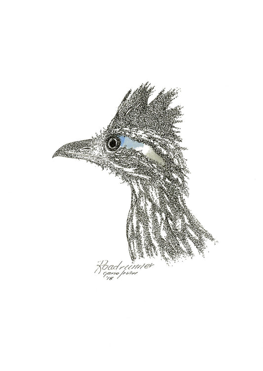 Roadrunner Head pen and ink stippling illustration by Gene Irvin, 2018 — detailed stippling close-up portrait of a Greater Roadrunner with wild spiky crest, sharp curved beak, and dark eye with blue post-ocular streak, dense black ink stippling on white background, inscribed 'Roadrunner' and signed by the artist"