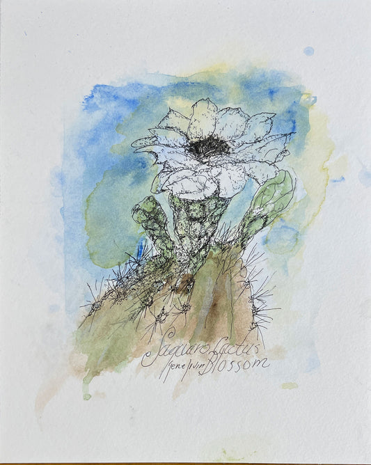 Fleur de cactus Saguaro