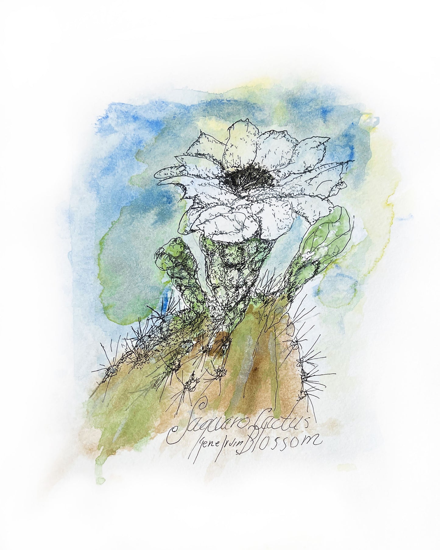 Watercolor and pen & ink painting of a blooming saguaro cactus (Carnegiea gigantea) with delicate white desert flowers set against soft Sonoran Desert tones. Arizona botanical art by Gene Irvin (1934–2026), capturing the iconic Arizona state flower in his signature fine-line and watercolor style.