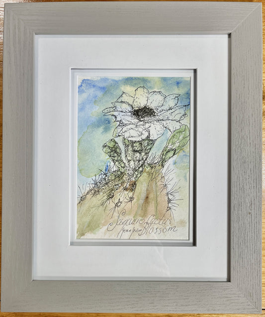 Saguaro Cactus Blossom original watercolor and ink illustration by Gene Irvin — white saguaro flower in full bloom atop a spiny cactus arm with soft blue and green watercolor washes, double-matted in white, medium gray wood frame, 5x7 inch artwork, 10x12 inches overall, ready to hang