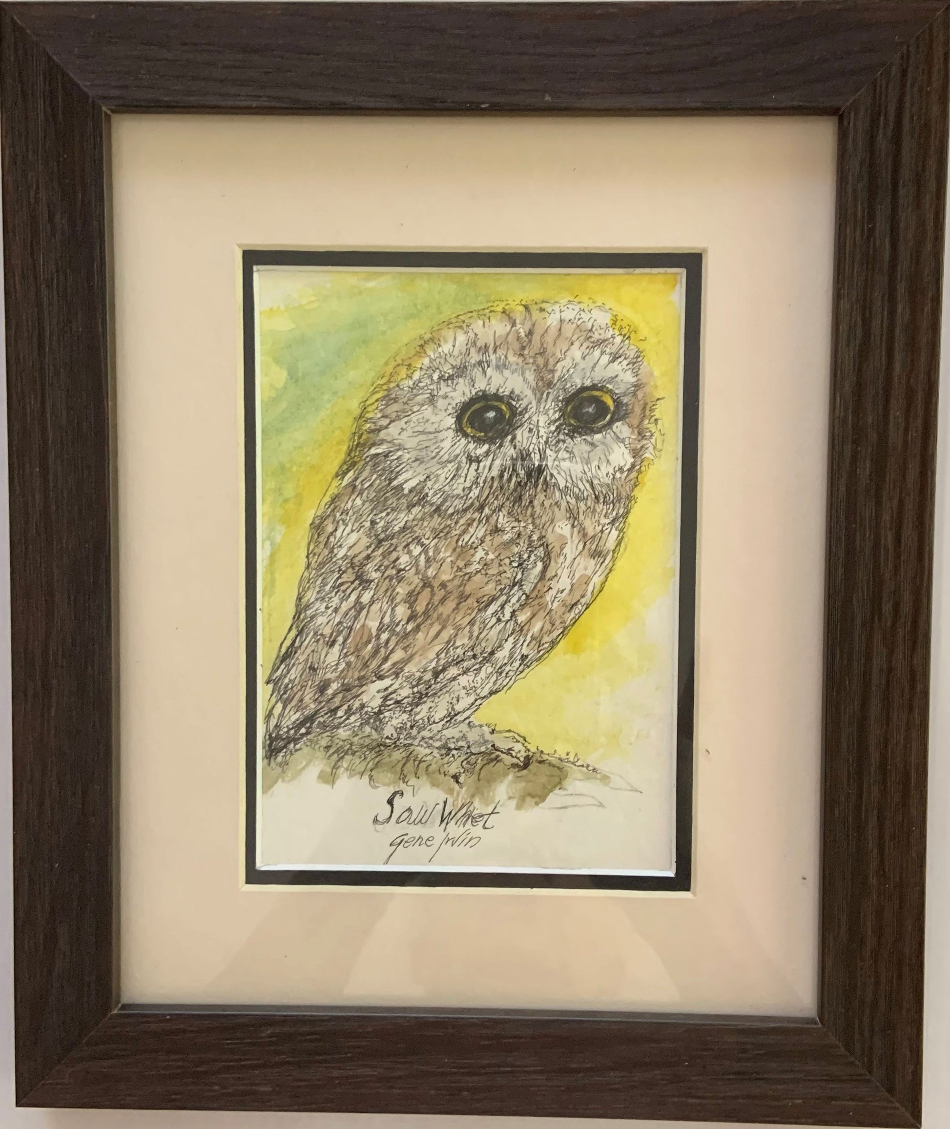 Saw Whet Owl 'Looking at You' Original - Gene's Pen & Ink