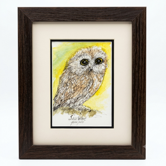 Original 5x7 framed illustration of a Saw-Whet owl with realistic dark eyes by Arizona wildlife artist Gene.