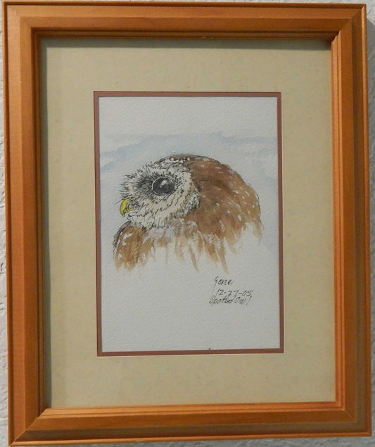 Spotted Owl Head Original - Gene's Pen & Ink