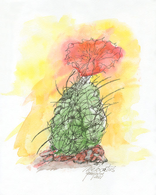 Original Thelocactus Flower watercolor and ink illustration by Gene Irvin, 2021 — expressive loose portrait of a globular Thelocactus cactus with dense ink crosshatching, long radiating spines, and a vivid red-orange crinkled bloom against a warm yellow and orange watercolor wash, inscribed 'Thelocactus' and signed by the artist in Gene's own hand