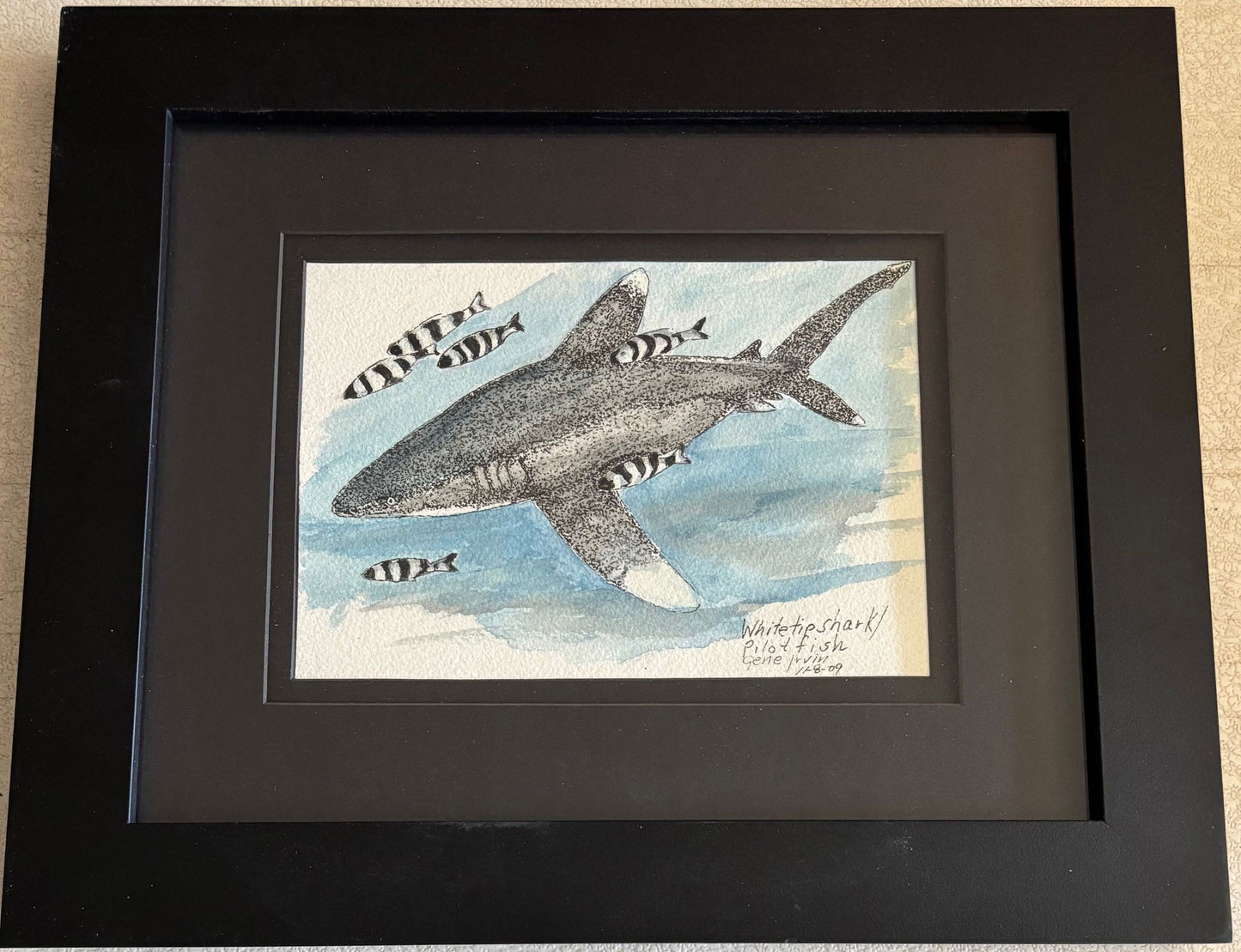 Whitetip Shark with Pilot Fish Original