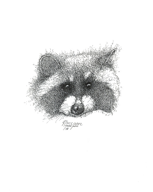 Raccoon - Gene's Pen & Ink