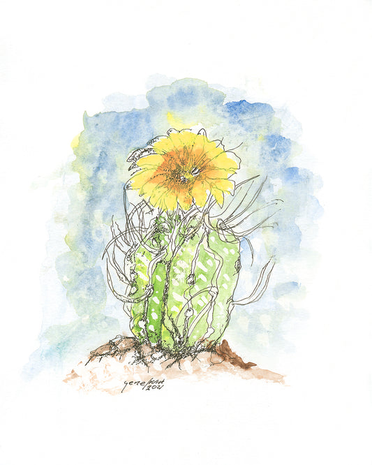 Yellow Cactus Flower - Gene's Pen & Ink