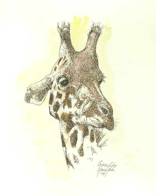 Baby Giraffe pen and ink illustration with watercolor washes by Gene Irvin — a young giraffe calf with long legs, soft patchwork coat, and a curious tilt of the head, fine pen line work with gentle warm watercolor tones, signed by the artist