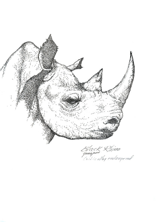 Black Rhino - Gene's Pen & Ink