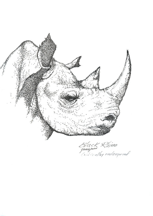 Black Rhino pen and ink illustration with watercolor washes by Gene Irvin — dense crosshatched rendering of a rhinoceros with thick armored hide, two sweeping horns, and a wary intelligent eye, layered pen line work with brown and grey watercolor tones, signed by the artist
