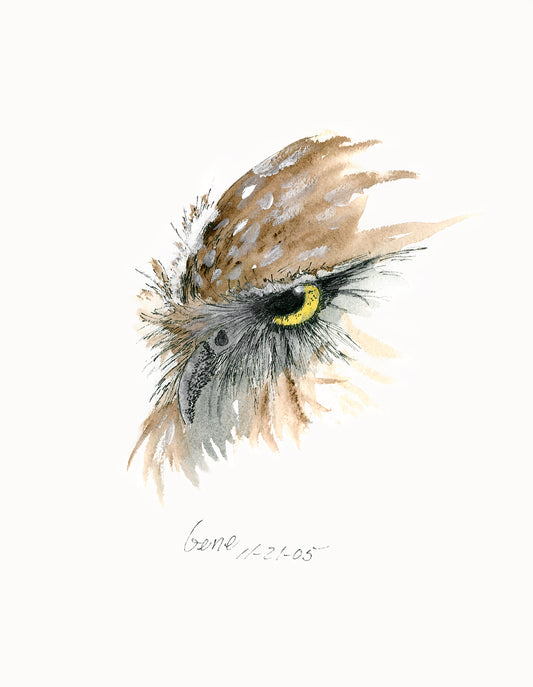Burrowing Owl Head - Gene's Pen & Ink