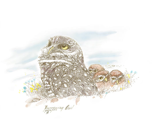 Burrowing Owl with Owlets — original pen, ink, and watercolor illustration by Gene Irvin, 2018 — adult burrowing owl with three fluffy owlets nestled in desert grass with wildflower accents, signed by the artist
