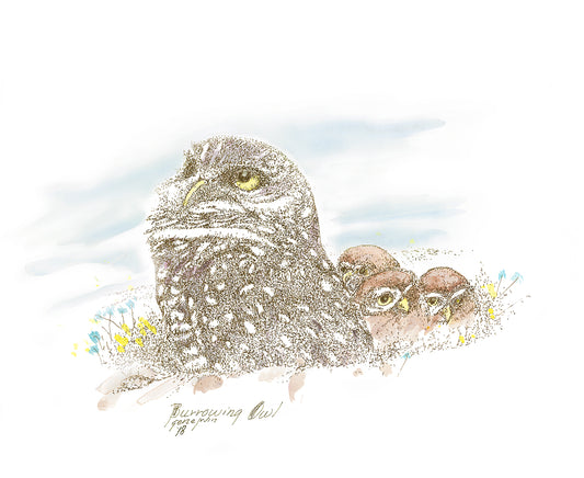 Burrowing Owl with Owlets - Gene's Pen & Ink