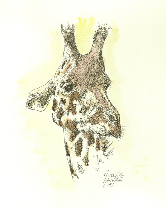 Baby Giraffe - Gene's Pen & Ink