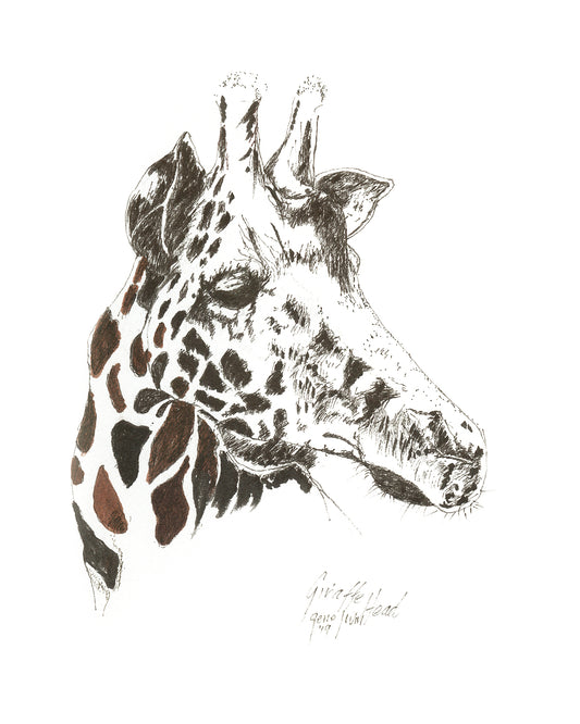 Giraffe Two Tone pen and ink art print by Gene Irvin — a giraffe rendered in a bold two-tone palette with its distinctive patchwork coat pattern, strong graphic pen line work with contemporary contrast, signed by the artist