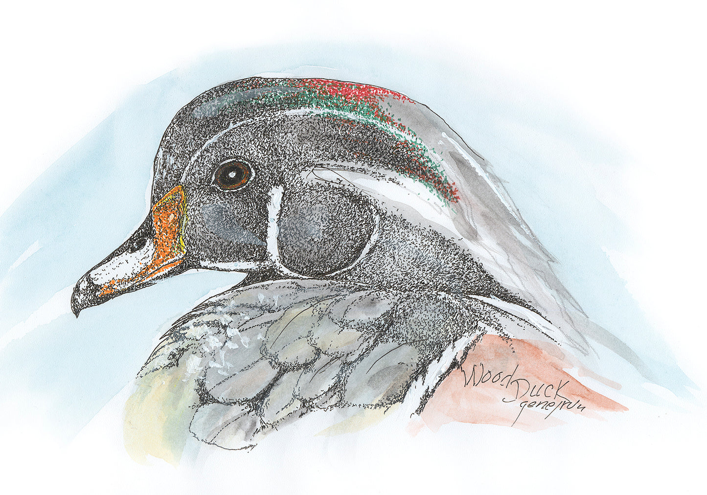 Male Wood Duck close-up pen, ink, and watercolor portrait by Gene Irvin — iridescent green and red crested head, orange bill, white neck stripe, and rust-toned chest, stippled detail on soft blue watercolor wash background, signed by the artist