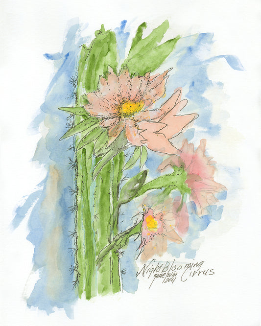 Night-blooming Cereus watercolor and pen and ink illustration by Gene Irvin — a large, luminous night-blooming cactus flower with pale glowing petals and slender stems, rendered in Gene's expressive watercolor interpretation with fine pen line work, signed by the artist