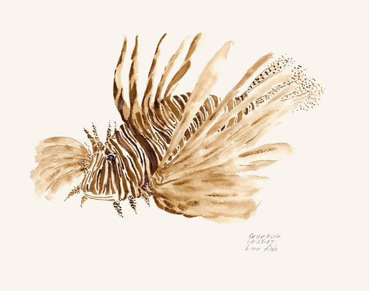 Red Lionfish pen and ink sepia wash illustration by Gene Irvin, May 2007 — full-body side view of a lionfish with dramatic fan-like venomous spines and striped body, warm sepia brown ink wash on cream background, signed by the artist