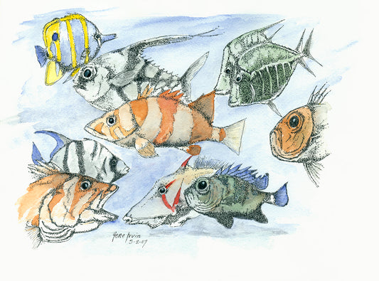 School of Fish pen, ink, and watercolor illustration by Gene Irvin, May 2007 — seven diverse marine fish species swimming together in a soft blue watercolor wash, including a yellow-striped butterflyfish, banded orange fish, green spiny fish, and round orange fish, stippled detail with vibrant watercolor, signed by the artist